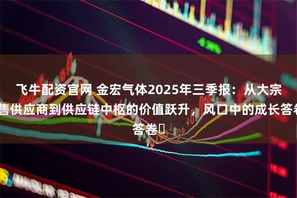 飞牛配资官网 金宏气体2025年三季报：从大宗零售供应商到供应链中枢的价值跃升，风口中的成长答卷​