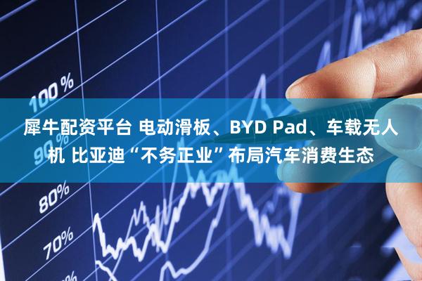 犀牛配资平台 电动滑板、BYD Pad、车载无人机 比亚迪“不务正业”布局汽车消费生态