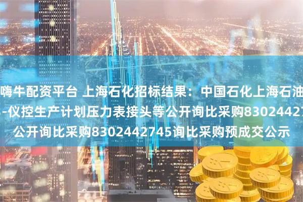 嗨牛配资平台 上海石化招标结果：中国石化上海石油化工股份有限公司sp3-仪控生产计划压力表接头等公开询比采购8302442745询比采购预成交公示